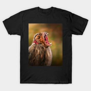 Bonnet Macaque T-Shirt